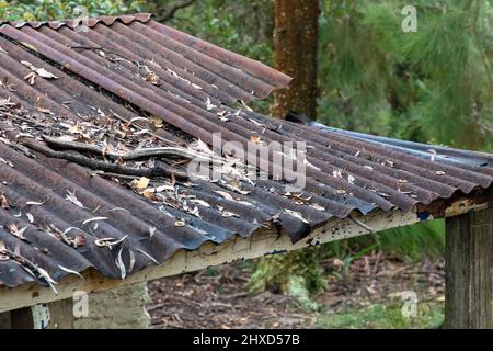 Photograph of an old brown rusty roof covered in fallen leaves on an explorers hut in The Blue Mountains in New South Wales in Australia Stock Photo