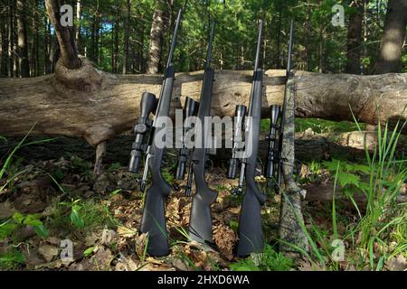 Four Hunting Rifles with Scope Optics Leaning against a fallen Tree Stock Photo