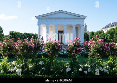 Theseus temple in Volksgarten park with blooming pink and white roses in foreground Stock Photo
