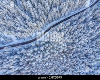 Europe, Italy, Veneto, province of Belluno, Dolomites, mountain road crossing a coniferous forest after a snowfall, view from above Stock Photo