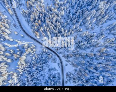 Europe, Italy, Veneto, province of Belluno, Dolomites, mountain road crossing a coniferous forest after a snowfall, view from above Stock Photo