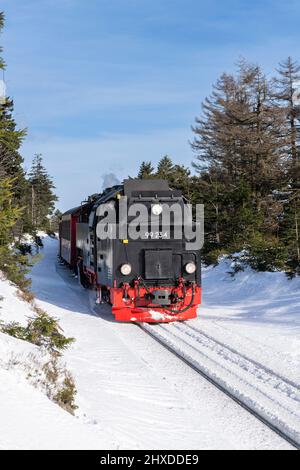 The Brocken Railway in the Harz Mountains. Stock Photo