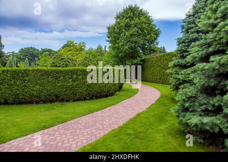 pedestrian walkway made of brick stone tiles, path crescent form in an arc in the park among the hedge of evergreen thuja and pine trees with clouds o Stock Photo