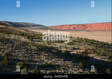 panoramic view leaving Kaibab National Forest towards Vermilion Cliffs National Monument in northern Arizona Stock Photo