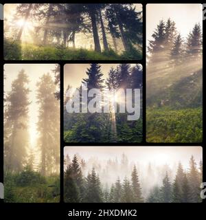 Creative collage of many nature photos. Beauty world. Stock Photo