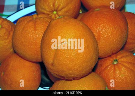 Basilicata giant oranges Stock Photo