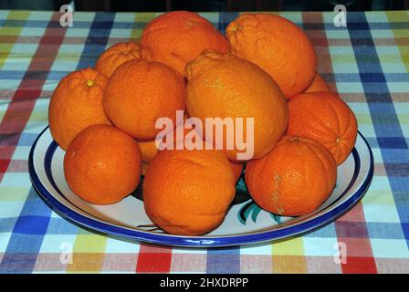 Basilicata giant oranges Stock Photo