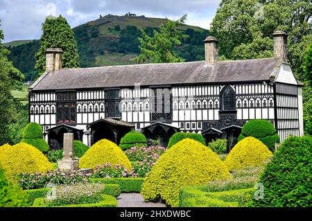 Plas Newydd (former home of the 'Ladies of Llangollen'), Llangollen, Denbighshire (Sir Ddinbych), Wales, United Kingdom Stock Photo