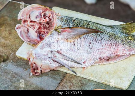 Playa El Tecolote, La Paz, Baja California Sur, Mexico. Raw fish being prepared for cooking. Stock Photo