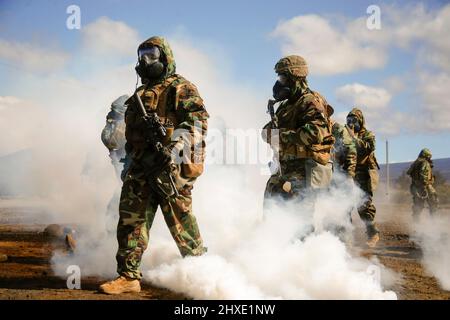 Hilo, Hawaii, USA. 5th Mar, 2022. U.S. Marines with 1st Battalion, 12th Marines, 3d Marine Division participate in a chemical, biological, radioactive, and nuclear training exercise during Spartan Fury 22.1 at Pohakuloa Training Area, Hawaii, March 5, 2022. Spartan Fury is a Battalion level training exercise designed to refine long-range communications through naval asset integration, mission processing from battalion to firing sections, and 21st Century Foraging. Credit: U.S. Marines/ZUMA Press Wire Service/ZUMAPRESS.com/Alamy Live News Stock Photo