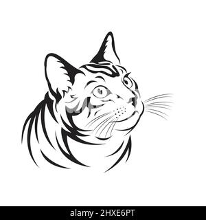 Vector of a cat on white background. Pet Animal. Easy editable layered vector illustration. Stock Vector