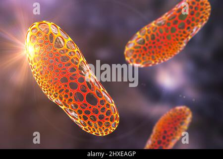 Destruction of bacteria, conceptual illustration Stock Photo
