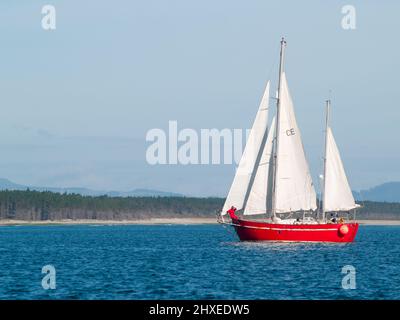 Tauranga New Zealand - January 1 2015; Classic style yacht with red hull sails past green buoy on beautiful deep blue sea. Stock Photo