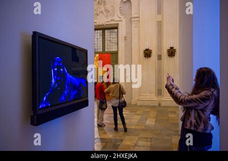 Torino, Italy - November 2012: Robert Wilson's Portraits at Palazzo Madama. Wilson has taken well-known celebrities, as well as ordinary people and an Stock Photo