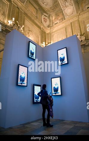 Torino, Italy - November 2012: Robert Wilson's Portraits at Palazzo Madama. Videoportrait of a Snowy Owl. Wilson has taken well-known celebrities, as Stock Photo