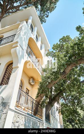 Old oak tree grows through terrace of elegant vintage building on sunny day. Union of nature and urban life. Protecting rare plants and ecology Stock Photo