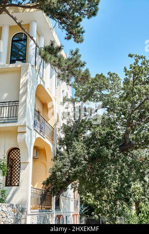 Old oak tree grows through terrace of elegant vintage building on sunny day. Union of nature and urban life. Protecting rare plants and ecology Stock Photo