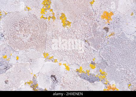 Texture of old stone close up. Natural background with stone pattern, moss and bumps from wind and water.  Stock Photo