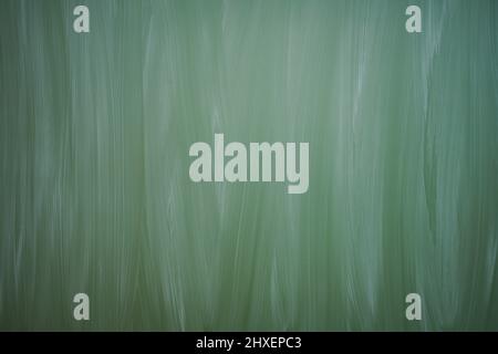 green dirty chalkboard background with copy space Stock Photo