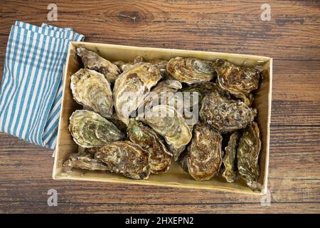oysters in a hamper on a wooden background Stock Photo