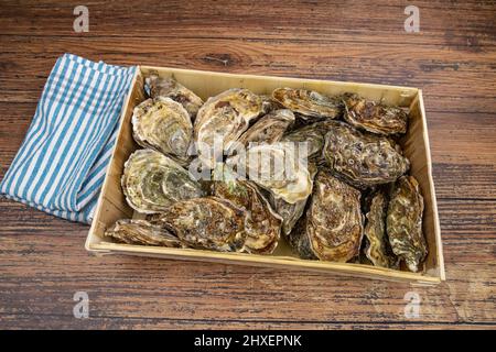 oysters in a hamper on a wooden background Stock Photo