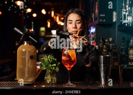 The young Latin brunette prepares a cocktail at the bar counter. job waitress profession Stock Photo