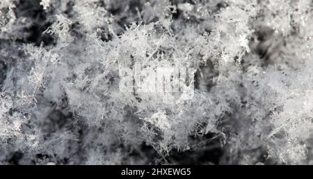 Snow from snowflakes, macro photo of white snow in winter, snow texture. Stock Photo