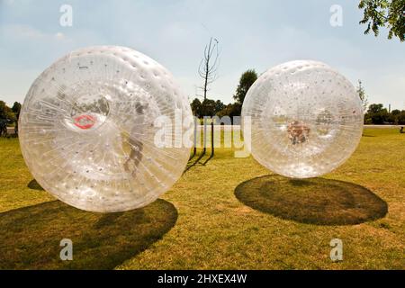 children have a lot of fun in the Zorbing Ball Stock Photo