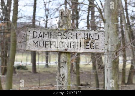 Vienna, Austria. 06 March 2022. The Lainzer Tiergarten in Vienna. Fallow deer and mouflon enclosure Stock Photo
