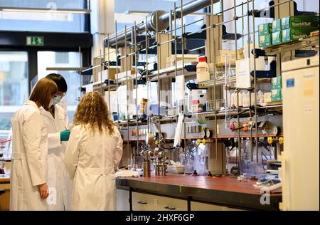 Laboratory for heterogeneous catalysis at the Max Planck Institute. Visit to the Max Planck Institute (MPI) for coal research, on March 4th, 2022 in Muelheim an der Ruhr / Germany Stock Photo