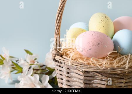 Easter wicker basket with pastel eggs, blossom spring flowers for Happy holiday and celebration on blue background. Close up. Greeting card. Stock Photo