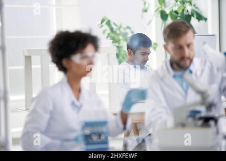 scientists examining control samples in the laboratory . Stock Photo