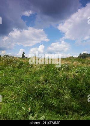 A bright blue sky with fluffy white clouds over a sunlit, summery Hampstead Heath, with trees and long grass covering the hills. Stock Photo