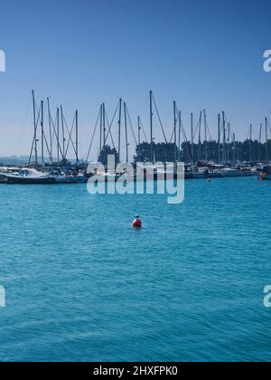 Yachts moored in the calm waters of Bembridge Harbour, with a gull perched on a marker buoy, under an open, airy, summer-blue sky. Stock Photo