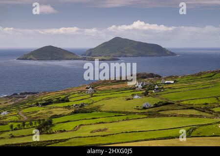 Islands of Scariff and Deenish off the Atlantic coast of County Kerry, Ireland Stock Photo