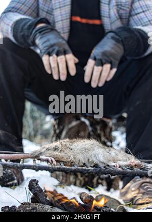 The homeless man grills a rat, in a snowy landscape, close up view. Stock Photo