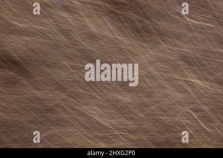 brown texture, background with scratches Stock Photo