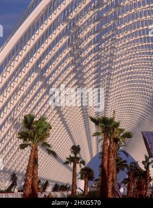 PARTE SUPERIOR DE L' UMBRACLE - PALMERAS EN EL JARDIN - S XXI. Author ...