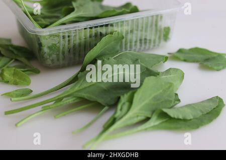 Fresh, tender and sweet baby spinach leaves. Young spinach or Spinacia oleracea that farmers harvest during the early stages of plant growth. Shot on Stock Photo