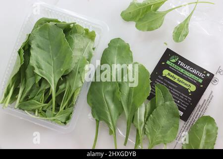 Mumbai, Maharashtra, India, March 12 2022: Fresh, tender and sweet baby spinach leaves packed and sold by truganic Stock Photo