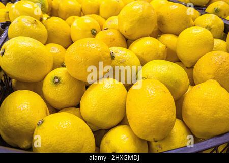 Fresh lemons are in a drawer in the store Stock Photo