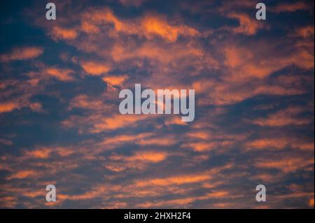 Altocumulus perlucidus with dramatic sky at sunset Stock Photo