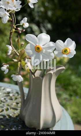 Eastertide white flowers Stock Photo