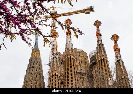 Barcelona, Spain. 11th Mar, 2022. Blossoms are seen in Barcelona, Spain, on March 11, 2022. Credit: Qing Shenglan/Xinhua/Alamy Live News Stock Photo