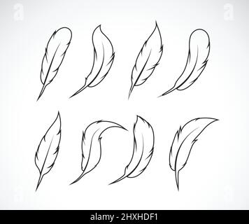 Vector group of feather on white background. Easy editable layered vector illustration. Stock Vector