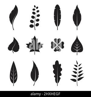 Vector leaves icon set on white background. Easy editable layered vector illustration. Stock Vector