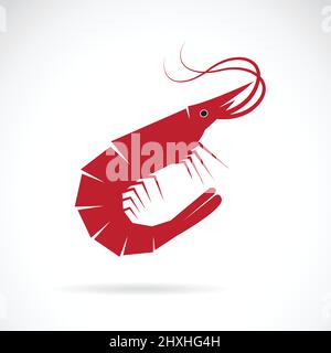 Vector image of a shrimp design on white background. Easy editable layered vector illustration. Stock Vector