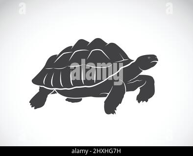 Vector of a turtle on white background. Reptile. Wild Animals. (Geochelone sulcata). Easy editable layered vector illustration. Stock Vector
