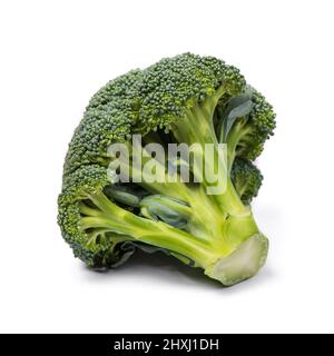 Green broccoli isolated on white background Stock Photo