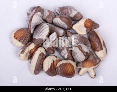 Group of seashell chocolate bar on white background Stock Photo